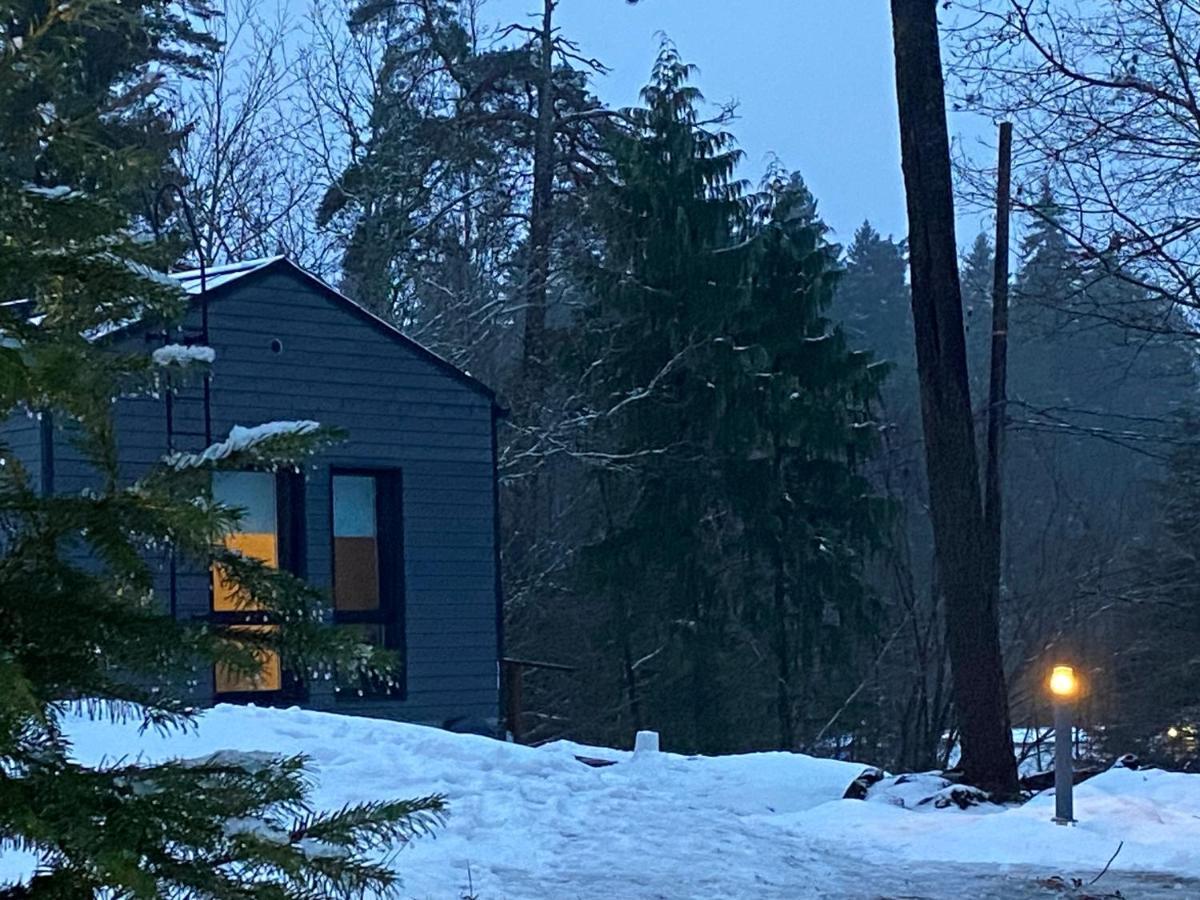 Tammikon Tupa Chalet *