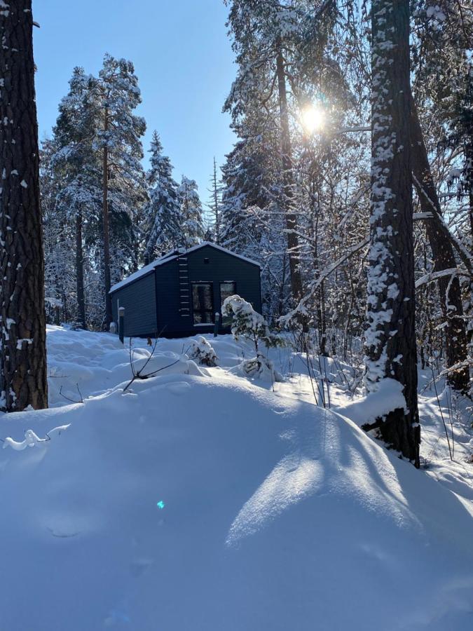 Tammikon Tupa Chalet